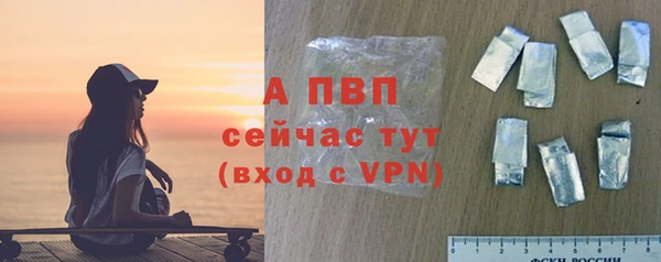 apvp Чекалин